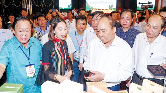 Thủ tướng Nguyễn Xuân Phúc thăm gian trưng bày các sản phẩm được chế biến từ hạt mắc ca. Ảnh: TTXVN
