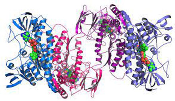 Thực Phẩm Giàu Protein Hình ảnh Sẵn có  Tải xuống Hình ảnh Ngay bây giờ   Biểu tượng  Đồ thủ công Bếp Bữa ăn  Món ăn  iStock