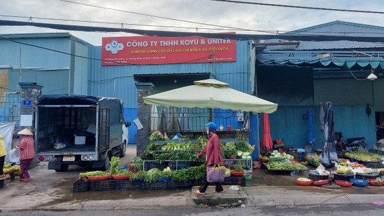 Việc buôn bán trên đường Tân Liêm hiện chỉ diễn ra phía trong vạch sơn do UBND xã Phong Phú, huyện Bình Chánh kẻ sẵn. Ảnh: NGỌC ÁNH