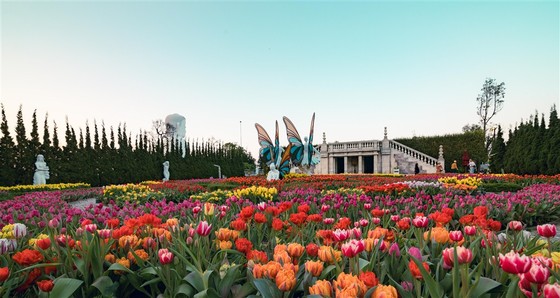 Đà Nẵng có “Công viên chủ đề hàng đầu Việt Nam” ảnh 5