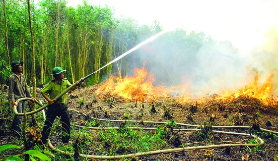 “Lung trời” giữa đồng bằng ảnh 7