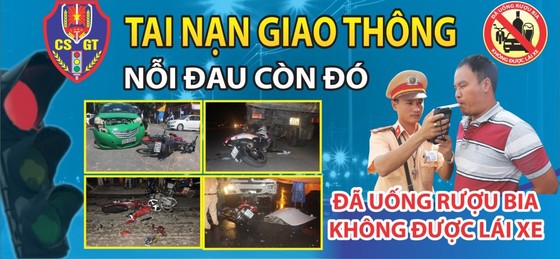 Nhanh chóng đưa các luật mới vào cuộc sống ảnh 1