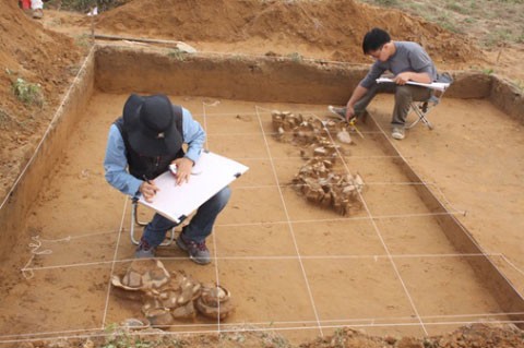 Cán bộ Bảo tàng Lịch sử quốc gia và Bảo tàng Quốc gia Hàn Quốc xử lý hiện trường khai quật, năm 2012. Ảnh: BTLSQG)