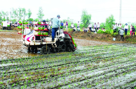 Giúp nông dân thu lợi từ “đơn đặt hàng” của doanh nghiệp xuất khẩu ảnh 1