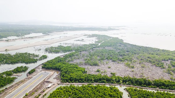 Thu hồi dự án Cảng CMH chưa đúng quy định ảnh 1