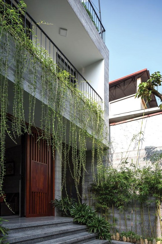 Không gian xanh cho nhà phố thị ảnh 1 Không gian xanh cho nhà phố thị ảnh 1