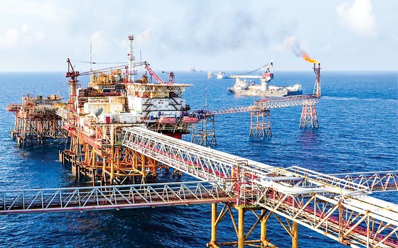 “Bắt đáy”giá, nhập khẩu dầu ảnh 1 “Bắt đáy”giá, nhập khẩu dầu ảnh 1