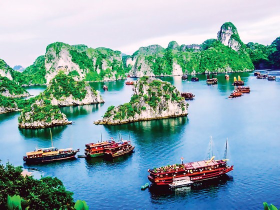 Ngành du lịch chỉ kỳ vọng thị trường nội địa ảnh 1