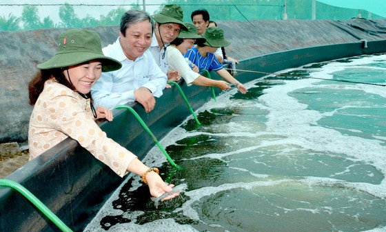 TPHCM thúc đẩy kết nối, tiêu thụ sản phẩm chủ lực ngành nông nghiệp ảnh 1 TPHCM thúc đẩy kết nối, tiêu thụ sản phẩm chủ lực ngành nông nghiệp ảnh 1