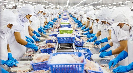 VHC - Những tín hiệu bất ổn ảnh 1