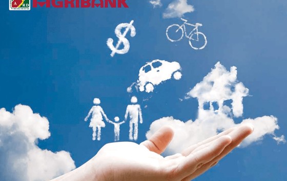 Kích cầu vay tiêu dùng không chỉ có ngân hàng… ảnh 2 Kích cầu vay tiêu dùng không chỉ có ngân hàng… ảnh 2