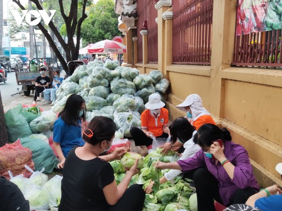 Người dân nhiều tỉnh thành nhiệt tình "giải cứu" nông sản Hải Dương ảnh 1 Người dân nhiều tỉnh thành nhiệt tình "giải cứu" nông sản Hải Dương ảnh 1