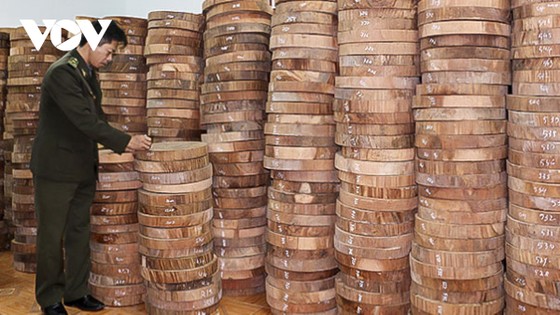 Lỗ hổng pháp lý truy xuất nguồn gốc lâm sản: Gỗ luồn rừng về xuôi? ảnh 2 Lỗ hổng pháp lý truy xuất nguồn gốc lâm sản: Gỗ luồn rừng về xuôi? ảnh 2