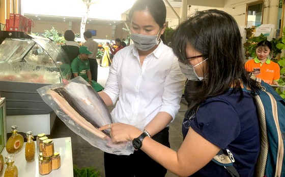 HTX Nông nghiệp Cần Giờ Tương Lai đang xây dựng thương hiệu cá dứa Cần Giờ, hướng tới phục vụ thị trường trong nước và  xuất khẩu
