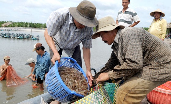 Thủy sản là mặt hàng có lợi thế xuất khẩu sang thị trường thực phẩm Halal  Ảnh:  CAO THĂNG