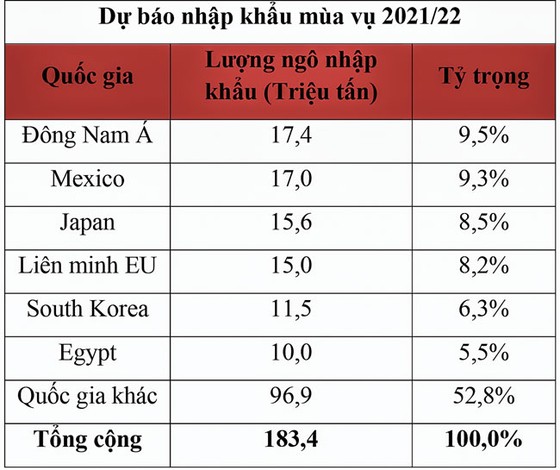 Triển vọng nào cho giá ngô sắp tới? ảnh 3
