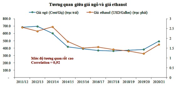 Triển vọng nào cho giá ngô sắp tới? ảnh 4