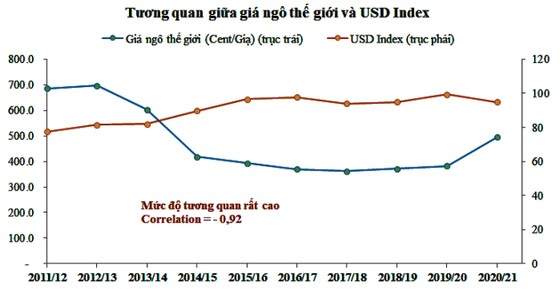 Triển vọng nào cho giá ngô sắp tới? ảnh 5