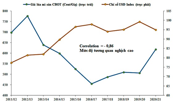 Giá lúa mì sẽ ổn định trong 2021-2022? ảnh 4