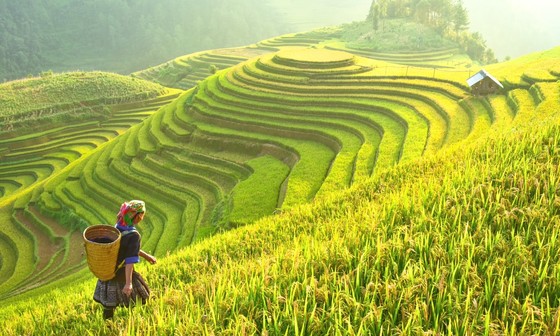 Du lịch nội địa vẫn đang là “cứu cánh” ảnh 1