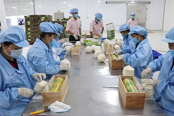 2022: RCEP tạo động lực phục hồi kinh tế ảnh 1 2022: RCEP tạo động lực phục hồi kinh tế ảnh 1