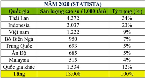 Triển vọng giá cao su năm 2022 ảnh 3