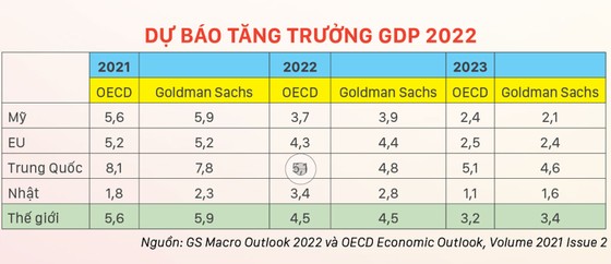 Dòng tiền thế giới chảy về đâu trong năm 2022? ảnh 1 Dòng tiền thế giới chảy về đâu trong năm 2022? ảnh 1
