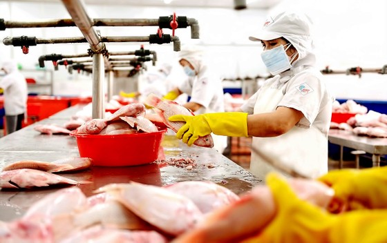 Công ty cổ phần thủy hải sản Sài Gòn APT  chế biến thực phẩm đông lạnh. Ảnh: HOÀNG HÙNG