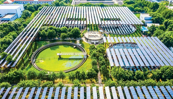 Các tấm pin mặt trời được xây dựng trên một nhà máy xử lý nước thải ở Trịnh Châu, Hà Nam, Trung Quốc.