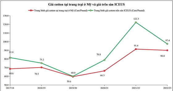 Thị trường cotton kỳ vọng tạo đáy ảnh 1