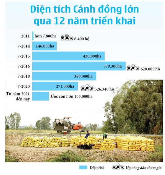 Những cánh đồng lớn đang ngày càng 'teo tóp'  ảnh 1