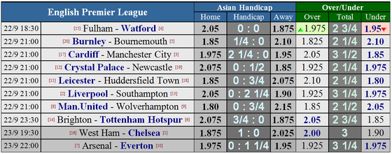 Cardiff City - Manchester City: Khi con thú bị thương (Mới cập nhật) ảnh 1