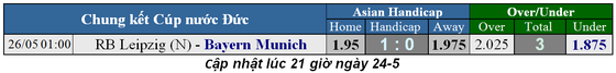 Lịch thi đấu trận chung kết Cúp Nhà Vua và Cúp nước Đức ngày 26-5 (Mới cập nhật) ảnh 4