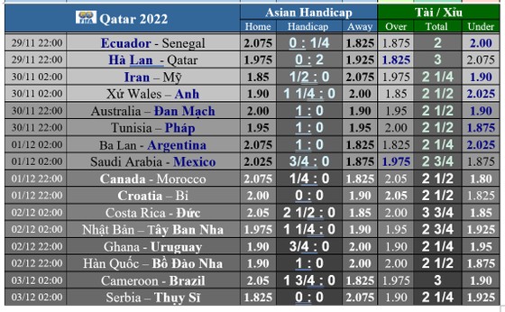 Dự đoán World Cup ngày 29-11: Đua ngôi đầu bảng, Hà Lan quyết đè bẹp Qatar, Tam sư không nhường xứ Wales ảnh 1