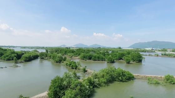 Cộng đồng mạng tích cực kể chuyện về cây xanh với hashtag đặc biệt và lý do ý nghĩa đằng sau ảnh 1