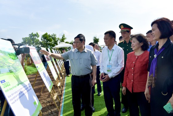Ra mắt mô hình trang trại bò sữa kết hợp du lịch xanh ảnh 2