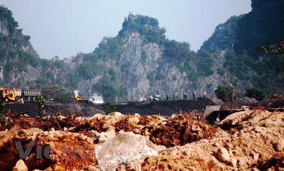 Quản lý yếu kém, tài nguyên bị khai thác cạn kiệt | Báo Sài Gòn Đầu Tư ...