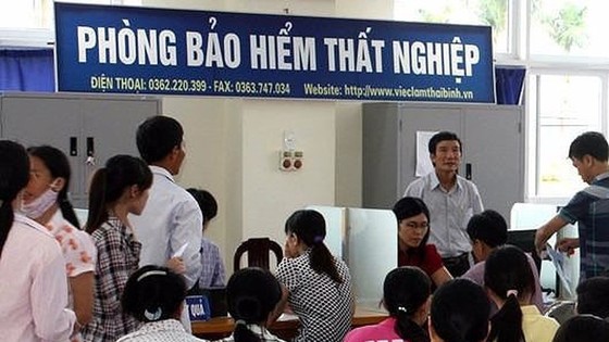 Tỷ lệ thanh niên Việt Nam thất nghiệp có thể tăng 13,2%