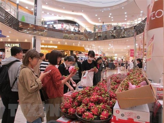 Người tiêu dùng Nhật Bản đang chọn mua quả thanh long của Việt Nam. (Ảnh: Đào Tùng/TTXVN)