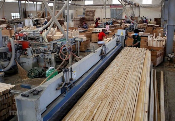 Sản xuất, chế biến gỗ xuất khẩu. (Nguồn: TTXVN)
