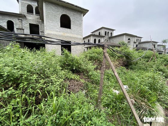 Hàng trăm căn biệt thự, nhà liền kề bỏ hoang phế nhiều năm nay trên địa bàn xã An Khánh, huyện Hoài Đức - Ảnh: QUANG THẾ