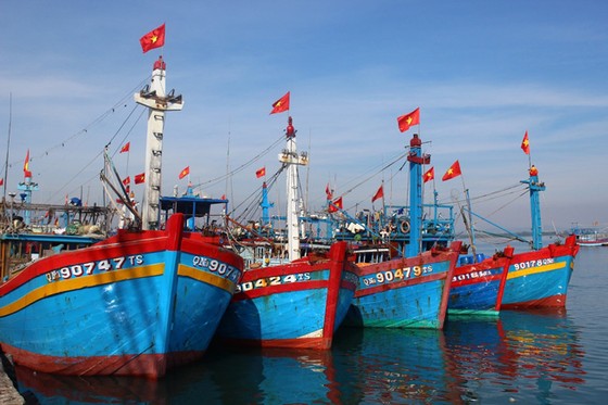 Đông Hải – Bạc Liêu sức hút từ tiềm năng kinh tế biển trọng điểm của ĐBSCL ảnh 2 Đông Hải – Bạc Liêu sức hút từ tiềm năng kinh tế biển trọng điểm của ĐBSCL ảnh 2