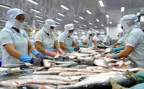 Tư duy mới cho kinh tế 2022 ảnh 3