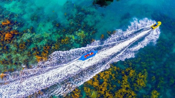 Tập đoàn Hưng Thịnh: Từ “an cư lạc nghiệp” đến di sản trọn đời ảnh 1 Tập đoàn Hưng Thịnh: Từ “an cư lạc nghiệp” đến di sản trọn đời ảnh 1