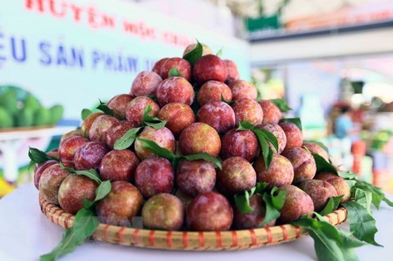 Sản phẩm mận hậu của huyện Mộc Châu, tỉnh Sơn La tại Festival trái cây và sản phẩm OCOP năm 2022. (Ảnh: Quang Quyết/TTXVN)