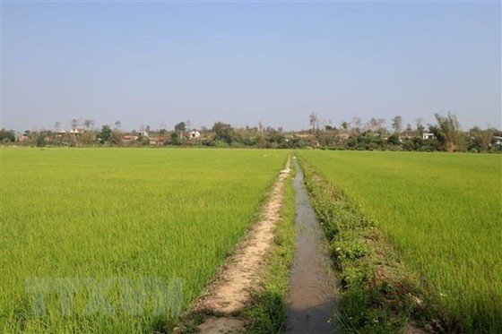 TPHCM: Khó khăn trong chuyển đổi đất nông nghiệp sang đất đô thị