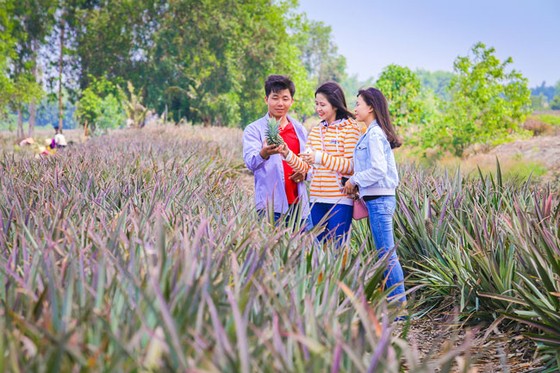 Hậu Giang: Tập trung phát triển 5 nông sản chủ lực, 4 nông sản đặc trưng ảnh 1