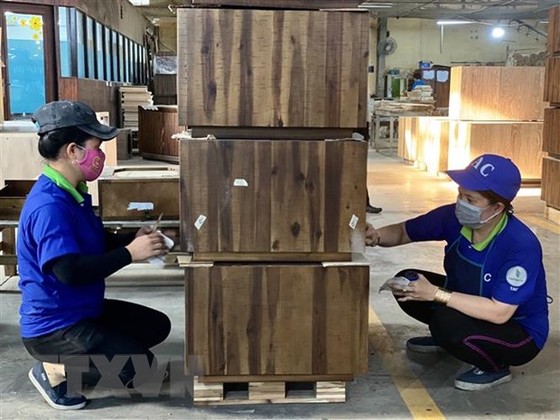 Công nhân Công ty Cổ phần Chế biến gỗ Thuận An kiểm tra các sản phẩm gỗ xuất khẩu. (Ảnh: TTXVN)
