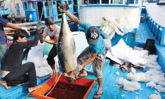 Thủ tướng Chính phủ Phạm Minh Chính yêu cầu các Bộ ngành, địa phương phối hợp ngăn chặn, chấm dứt tình trạng tàu cá khai thác bất hợp pháp ở vùng biển nước ngoài trước ngày 31/3/2023. Ảnh: Báo Chính phủ