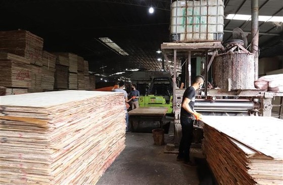 Xưởng sản xuất gỗ bóc, ván ép của Công ty Cổ phần Yên Thành (Yên Bình, Yên Bái). (Ảnh: Tiến Khánh/TTXVN)